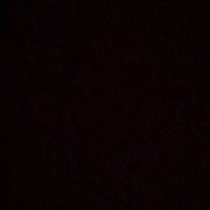 Meet your Posher, Brynn